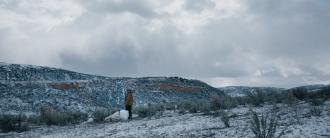 Wind River (2017),Jeremy Renner