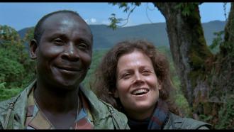 Gorily v mlze (1988),Sigourney Weaver,John Omirah Miluwi