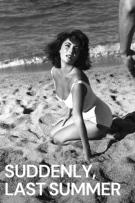 Suddenly, Last Summer